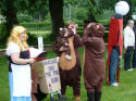 3 bears
