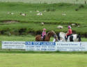 Horse parade