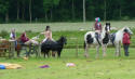 Horse parade