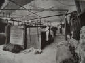 Wool sorting