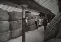 wool store
