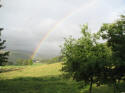 Rainbow over Juniper Bank
