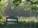 Summer evening